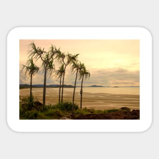 Coastal Paradise Sticker